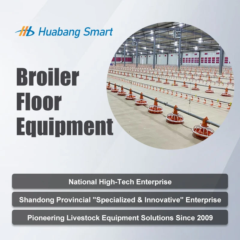 نظام مغذيات معدات تغذية الدواجن الأوتوماتيكية المعلقة وشرب الماء مع أكواب المشروبات