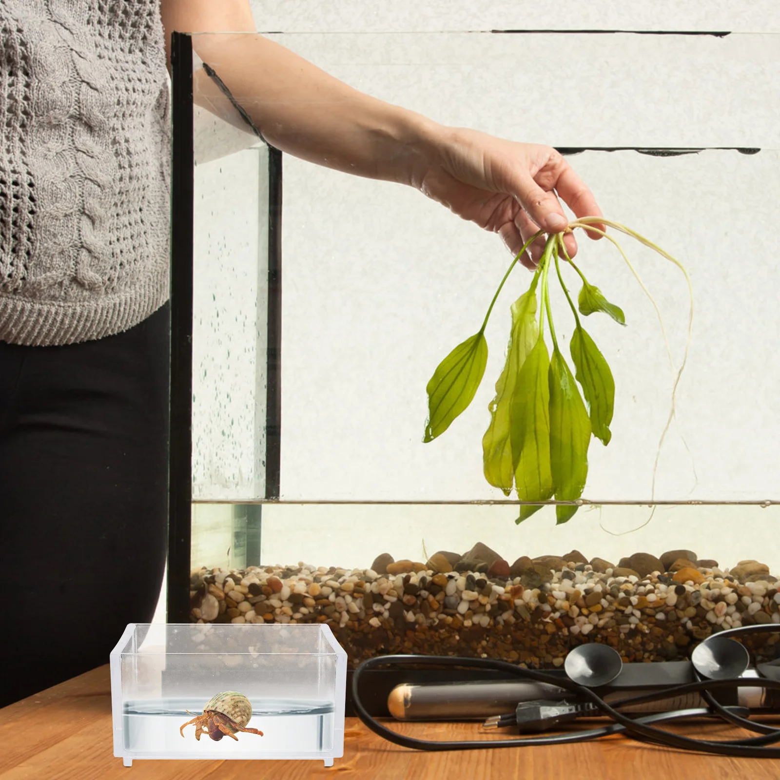 

2Pcs Acrylic Feeding Bowl Pet Feeder Durable Thick Design Reptile Food Water Dish Practical Pet Supply Reptiles Bowl