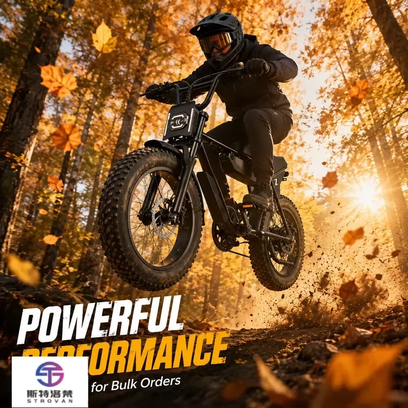 STROVAN US EU Brazil Stock V20 20x4 Fat Tire Electric Bicycle with 48V 2A Charger B2B Supply for Importers and Distributors