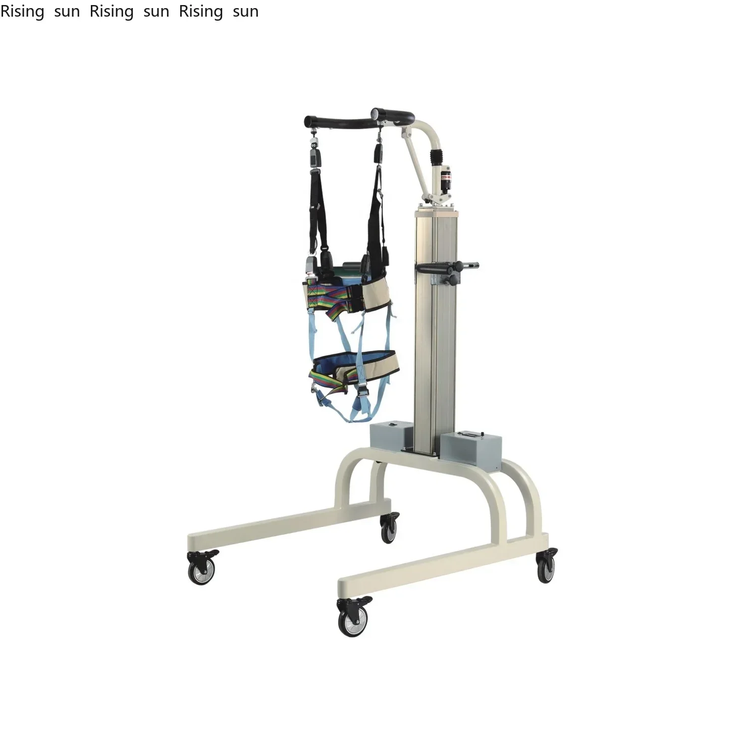 Electric Gait Train… - image