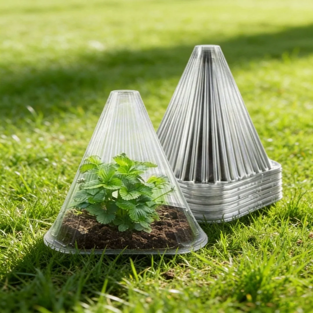 Cloche de protection transparente réutilisable pour plantes, protection pour semis de jardin, dôme anti-vent, anti-gel, anti-oiseaux et anti-escargots pour la culture des légumes