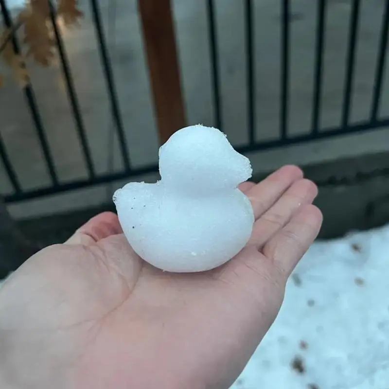 Confezione da 2 stampi per papere neve per creare legami familiari Operazioni semplici Lo stampo per neve crea adorabili