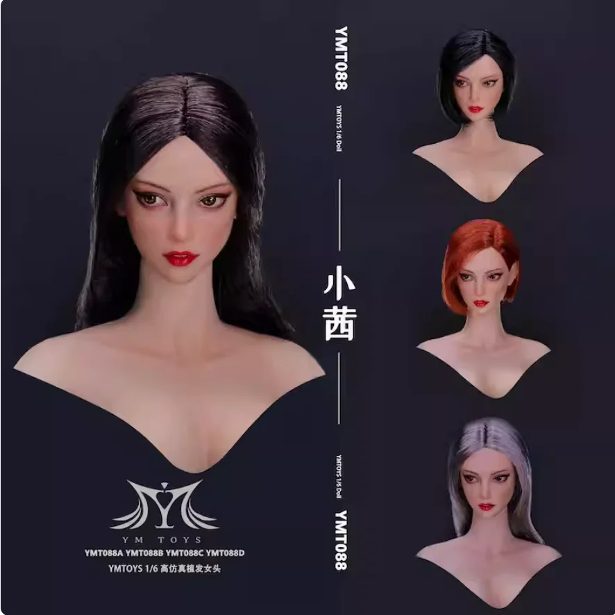Ymtoys YMT088 1/6 F… - image