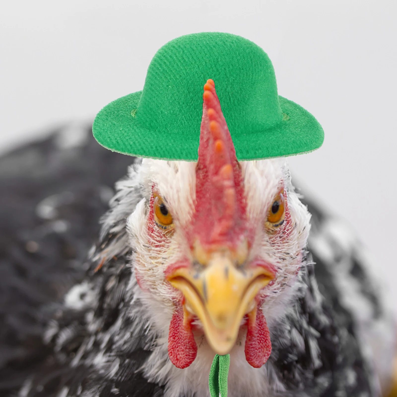 

6pcs Chicken Hats Pet Accessories Adjustable Clothes for Hens Roosters Birds Funny Decorative Small Pet Supplies Parrot Lizard