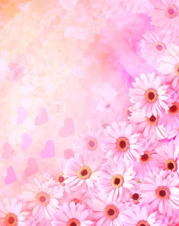 

Для KIA Carens 2010-2012 черный под защитной пластиной двигателя, брызговик, брызговик, крыло, защита от брызговика