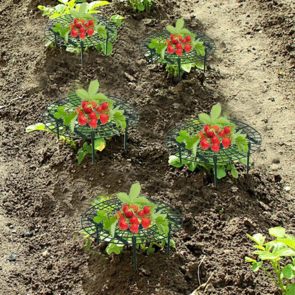 

Strawberry Supports with 4 Sturdy Legs Strawberry Growing Frame Keep Berries Clean Balcony Planting Rack Garden Tools