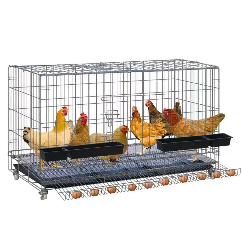 

Large Household Chicken Egg Breeding Cage For Duck Goose Quail With Automatic Egg Tray Steel Material Used Condition For Farms