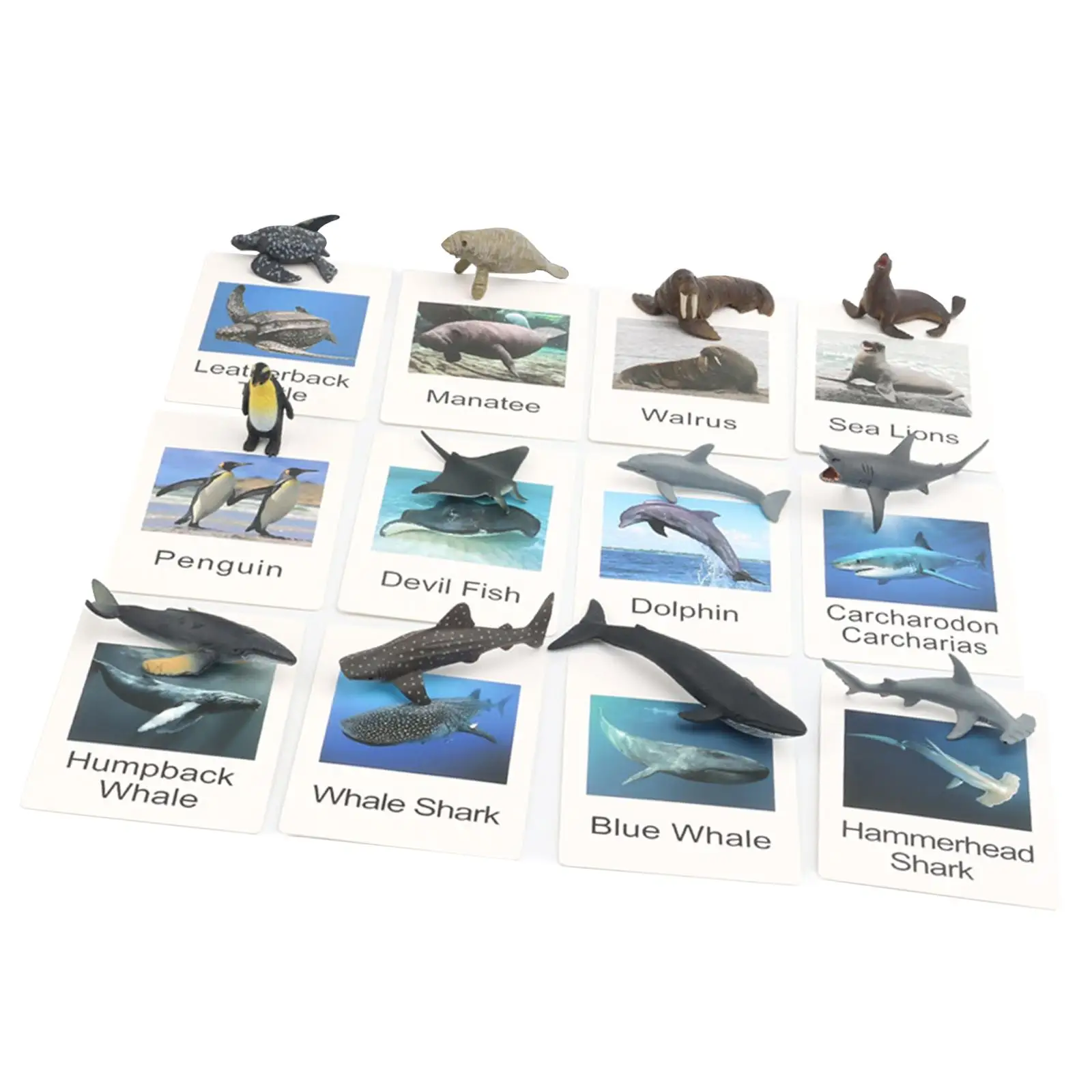 12Pcs Mini Animal Figures with Flash Cards for Themed Party Birthday Gift