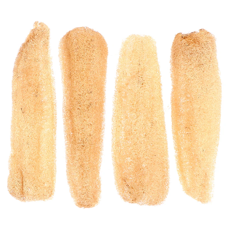Natural Exfoliator Daily Groceries Wash Pot Wash Dishes Wipe Sponge Supplies Loofah Guesthouse Supplies Biodegradable Loofah