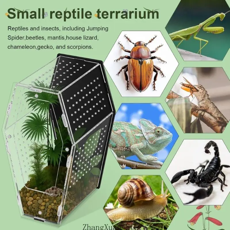 Transparenz Acryl Reptilien Terrarium Home Geräumiger Wohnbereich für Schlange 3XUF – Detail 5