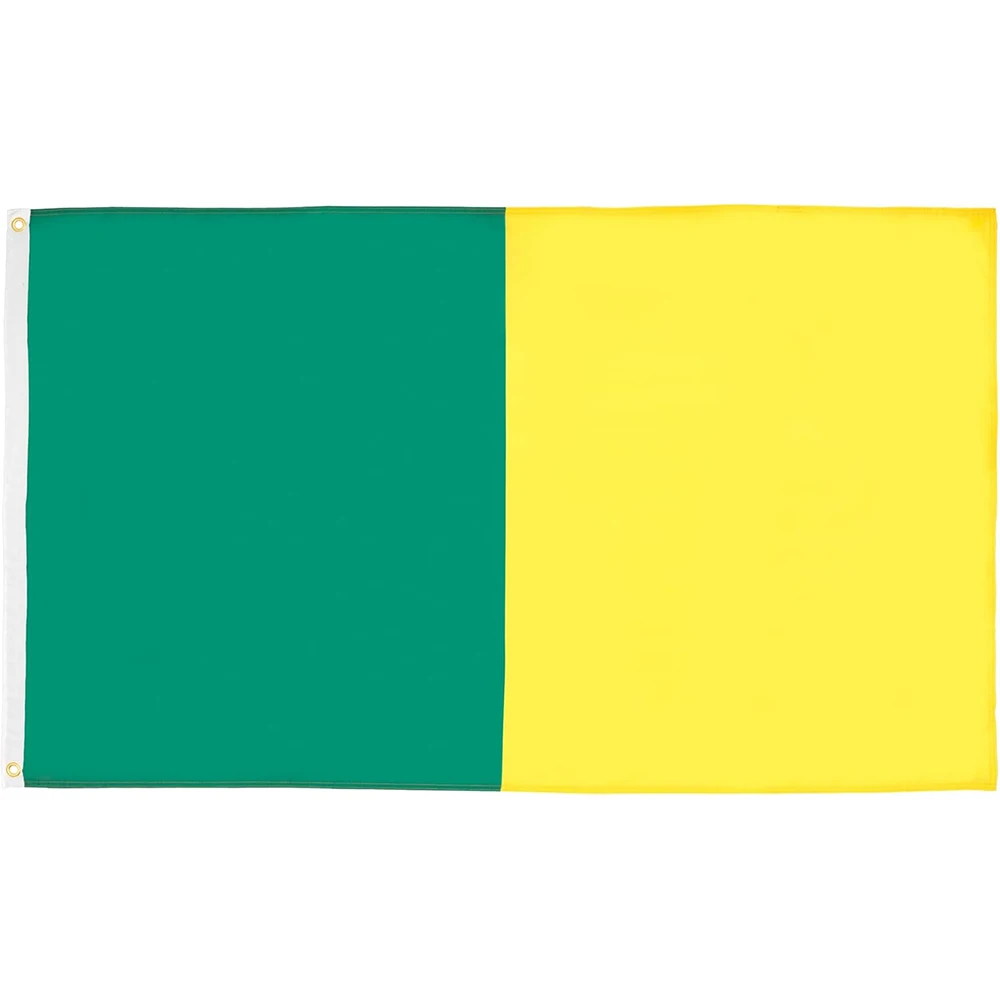 Flagicts 100% Polyester Green And Gold Irish County Flag
