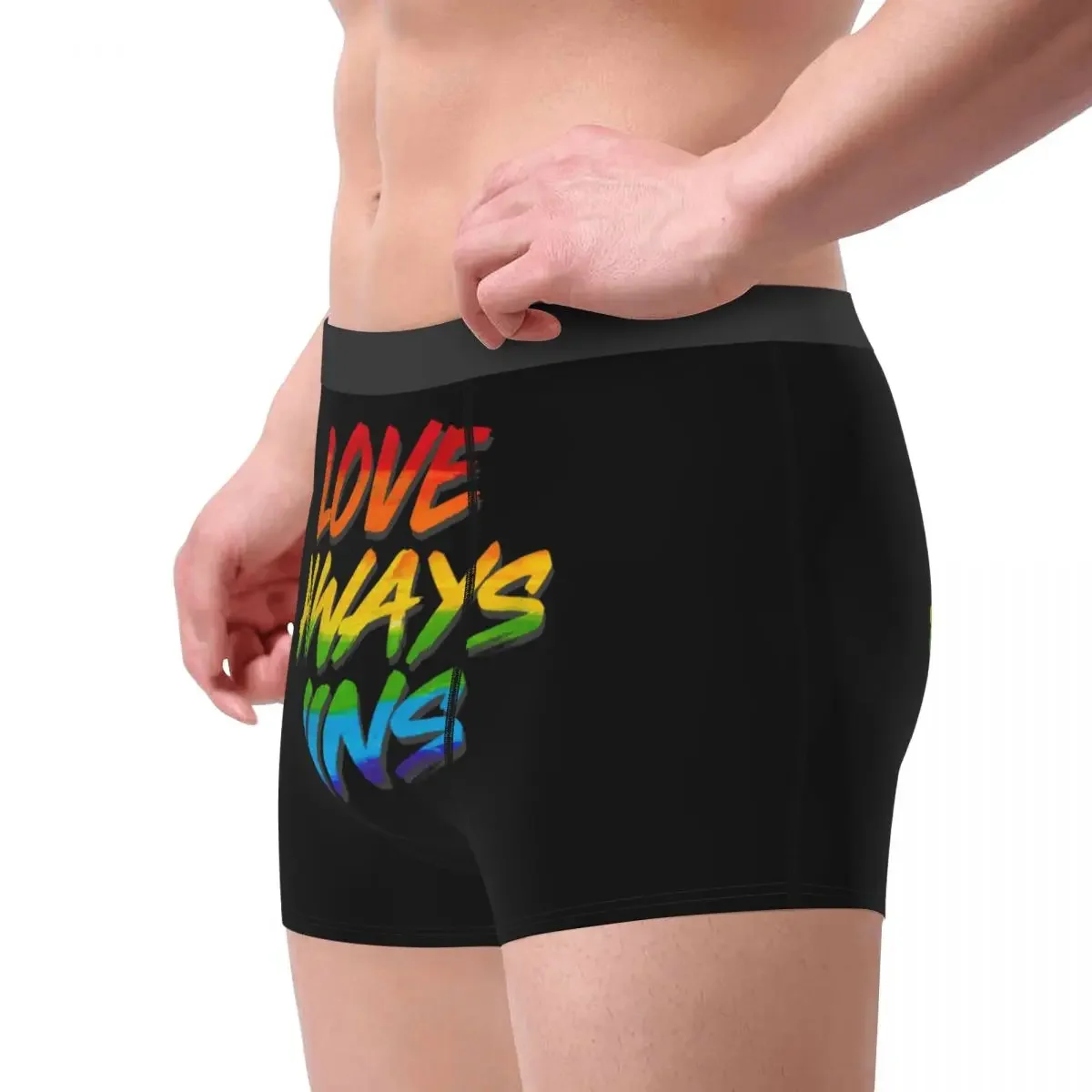 Boxer Shorts Panties Briefs Men LGBT Love Wins Underwear Gay Pride Bisexual Lesbian Queer Asexual Soft Underpants for Homme