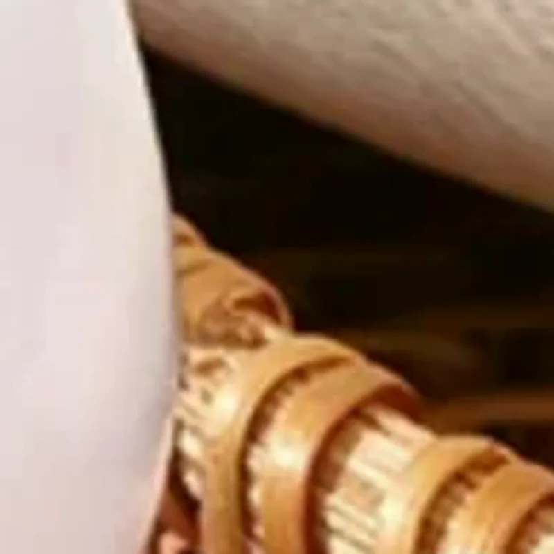 أوزة شكل الجسم ميريديان تدليك مشط الراتنج خمسة واسعة الأسنان مشط الوخز بالإبر مساعدة الدورة الدموية مكافحة ساكنة الشعر السلس #1