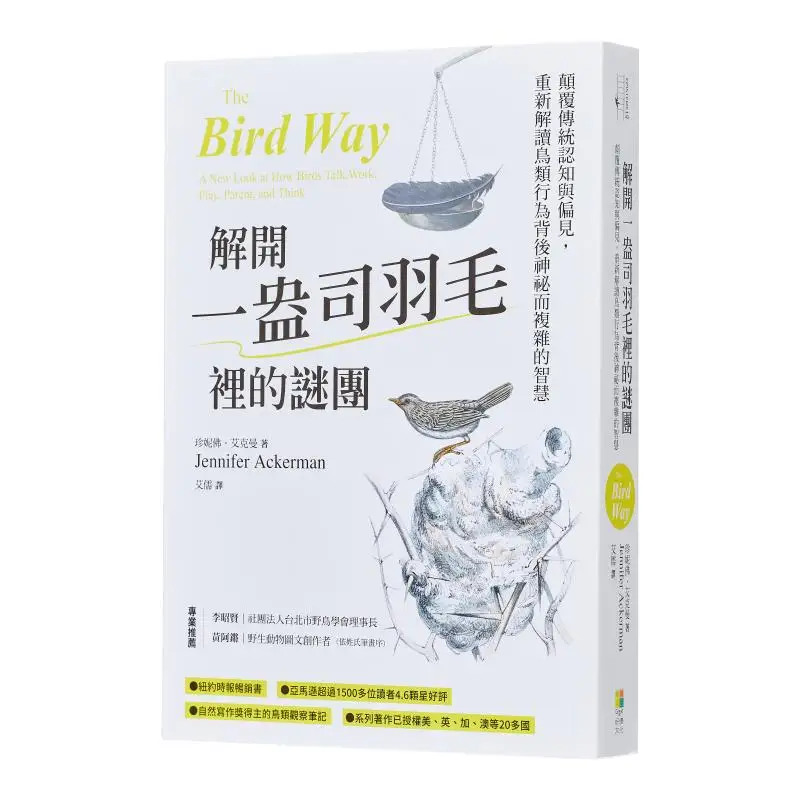 Disaggiando il mistero in una oncia di piume che sottotenvano perceptizioni tradizionali e biasi e interpretando l'Enigmatico