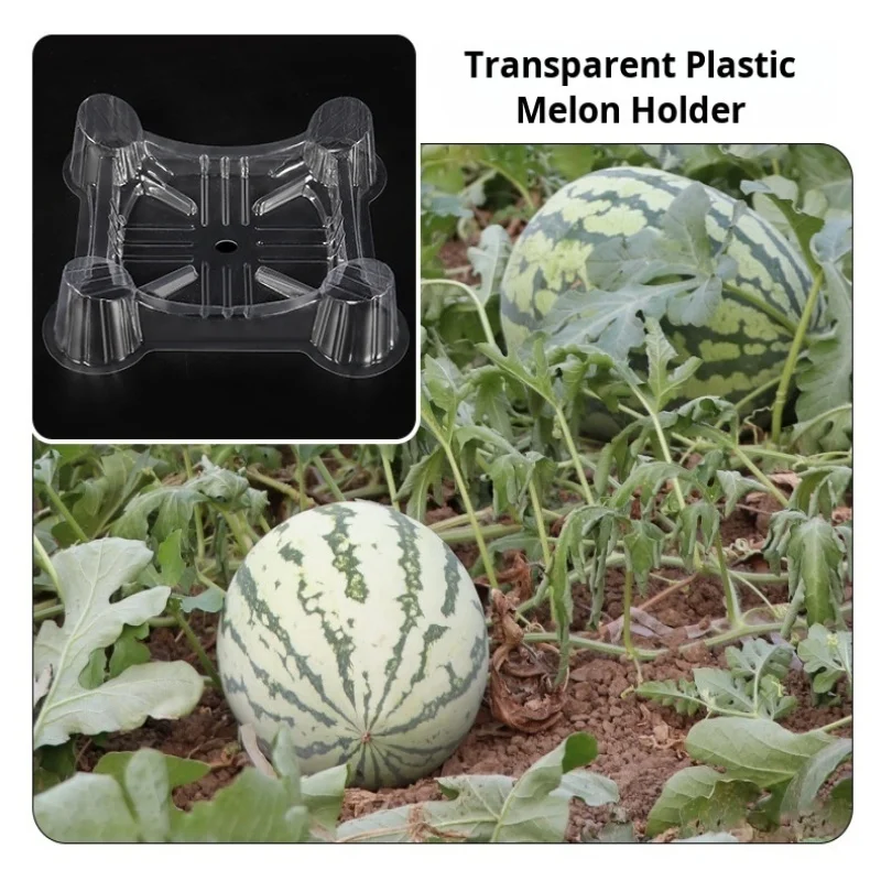 Gardening field tray base melon seedling melon watermelon cantaloupe melon blister plastic melon mat anti-rot melon tray