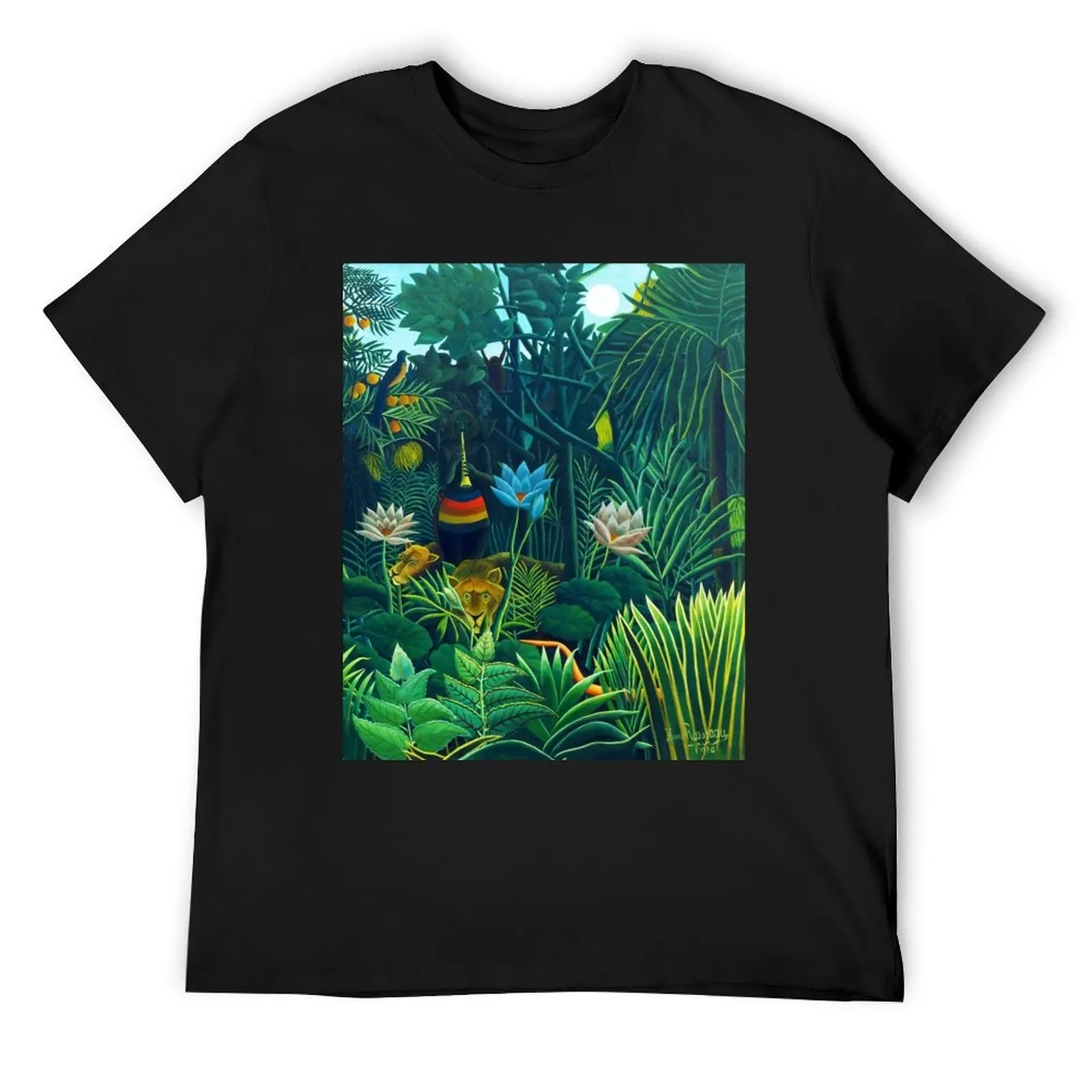

Henri Rousseau The dream(detail), 1910 T-Shirt vintage anime shirt graphic tee shirt quick-drying T-shirts for men cotton