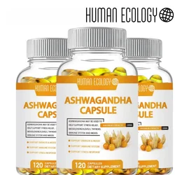 Ashwagandha Extra Capsule Energy & Endurance Supplements Brain&Memory Relief Stress Deep Sleep Vegetarian Care For Adult