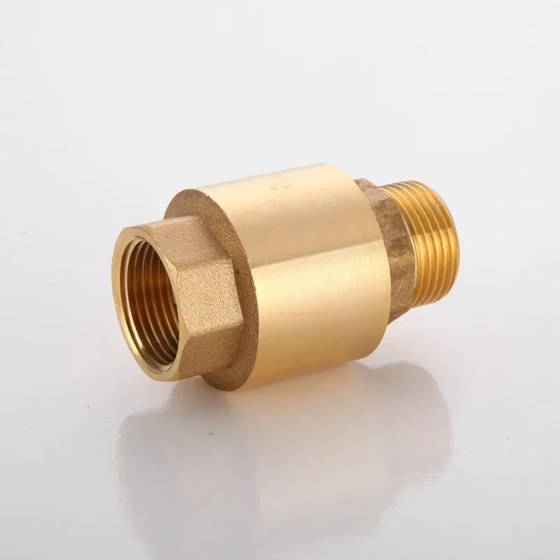 Check Valve Brass Male Inlet Female Outlet Pipe Pipe Meter 1/2