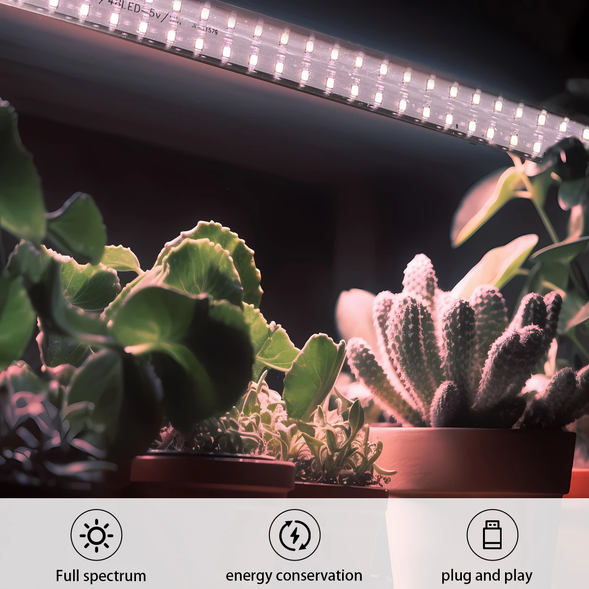 مصباح نمو LED - مصباح نباتي كامل الطيف - شتلات مائية داخلية ومصباح إضاءة تكميلي لرف الزهور - مصباح إطار #6