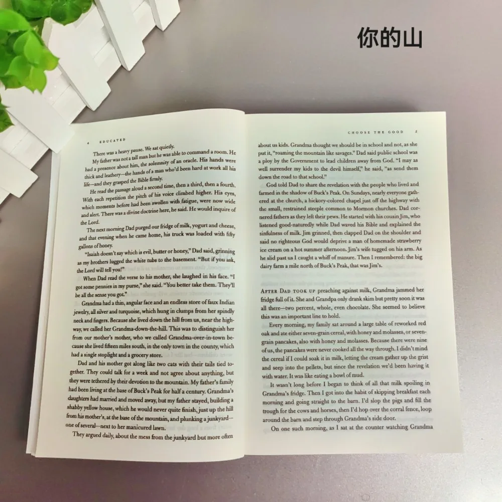 يجب عليك أن تطير مثل طائر إلى جبلك. تعليم مذكرات، نسخة إنجليزية من كتاب "التعليم يغير الحياة"