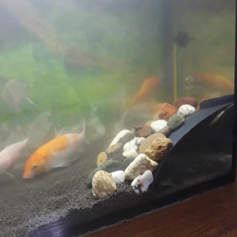 

Aquarium Fish and Shrimp Home Breeding Habitat Aquarium Decoration 3D PLA Environmentally friendly Material Printing