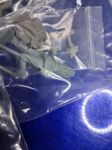 Buyer photo of this resin kit