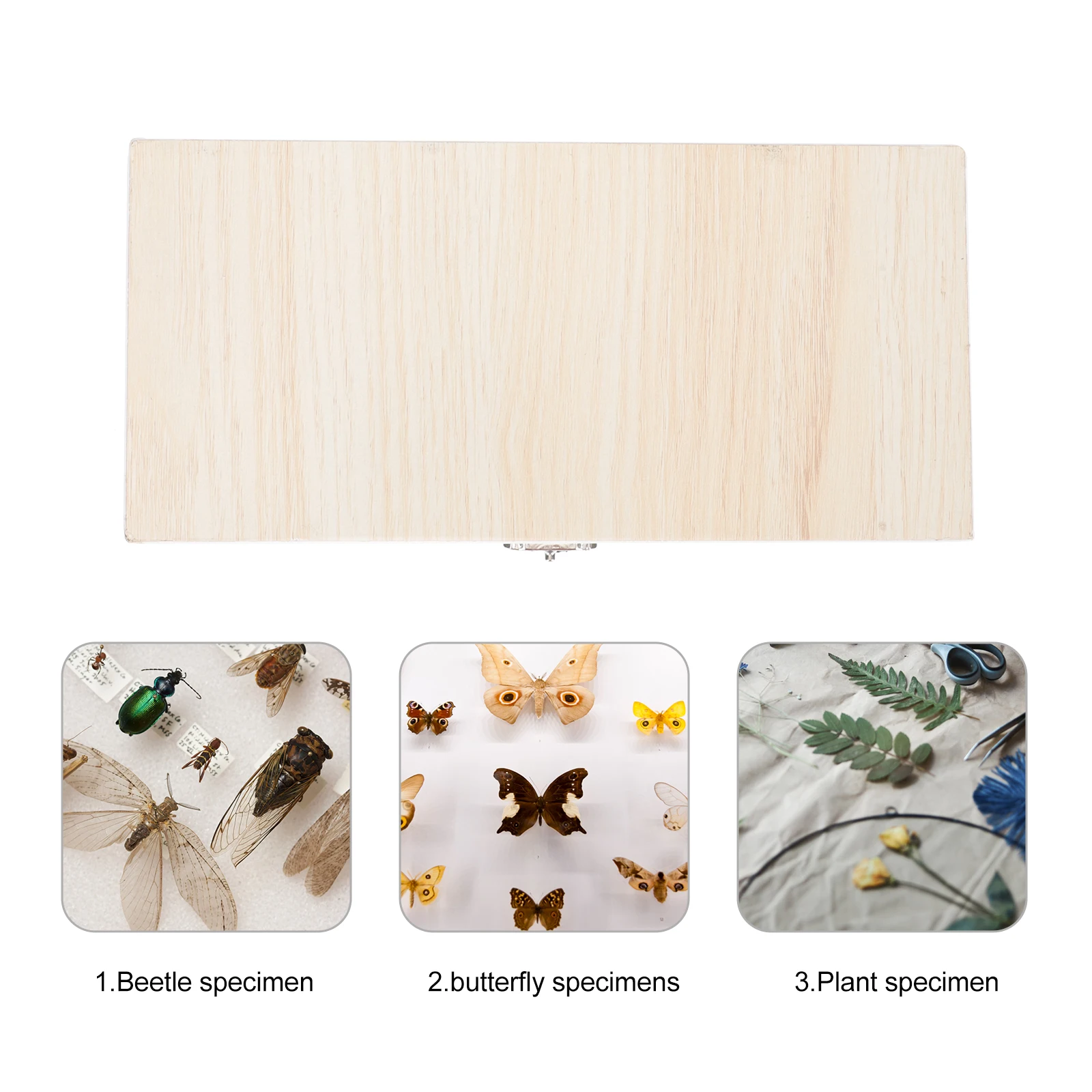 

50-Slot Microscope Slide Storage Box Wooden Case Biology Lab Slides Holder Numbered Positions Natural Wood Protection Container