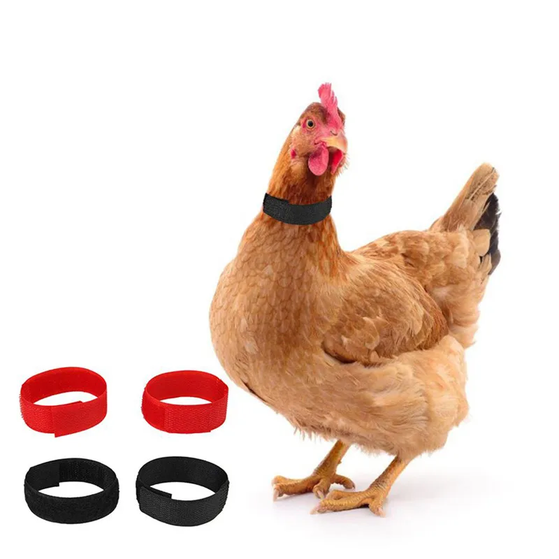 2Pcs Rooster Noise-Free Anti-Hook Neckband Collar Rooster Neck Collar Supplies Nylon Collar Rooster Supplies