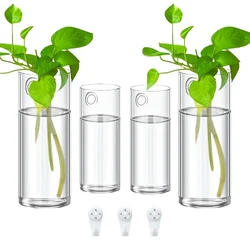 3Pack Wall Hanging Glass Planters Plant Terrarium Plants Holders Air Plants Wall Vase with Plastic Invisible Traceless Hangers