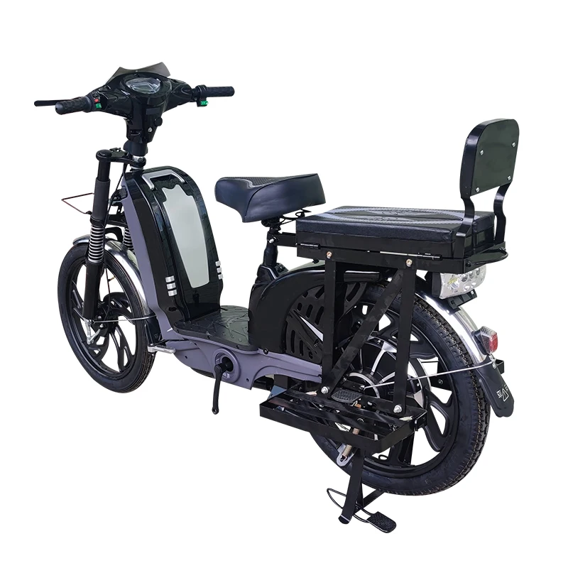 Manufacturer,OEM,22 Inch Heavy Type Delivery Electric Bicycle Household E-bike 800W Lithium Battery  Cargo Electric Bike,Rider