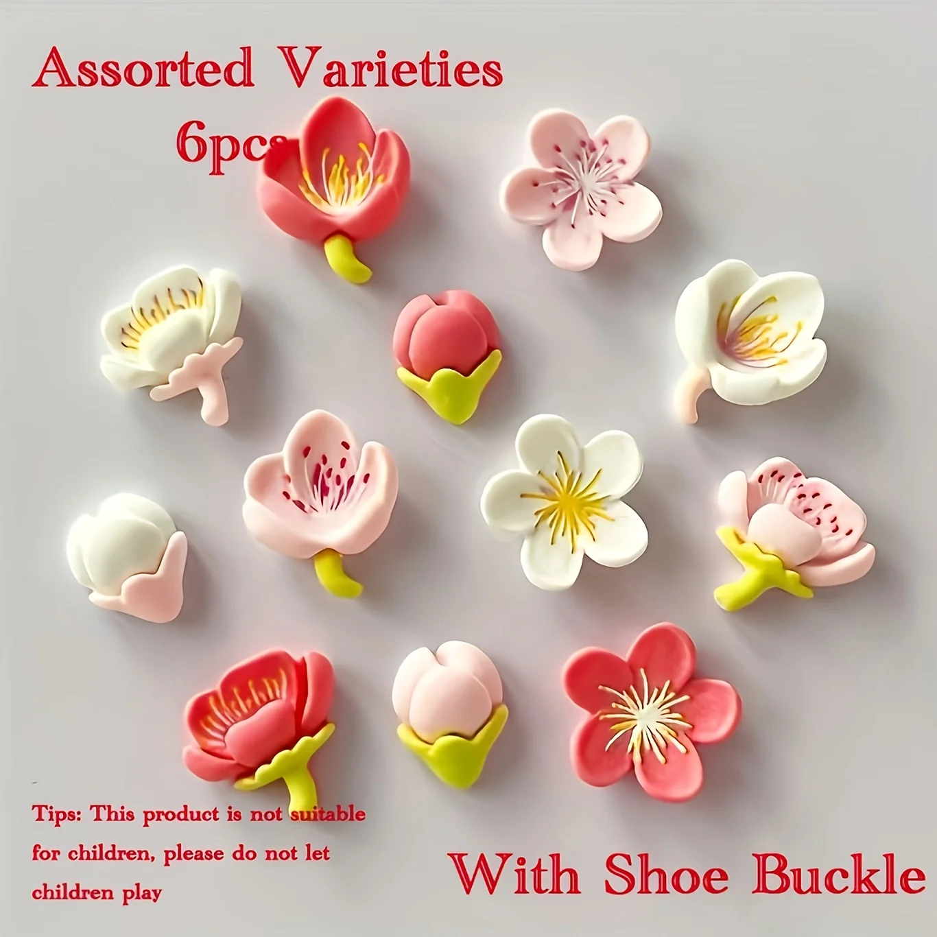 6pcs Assorted Colorful Resin Shoe Buckle Decorations for Slippers - Variety Pack of Shoe Accessories with Buckles for Creative F