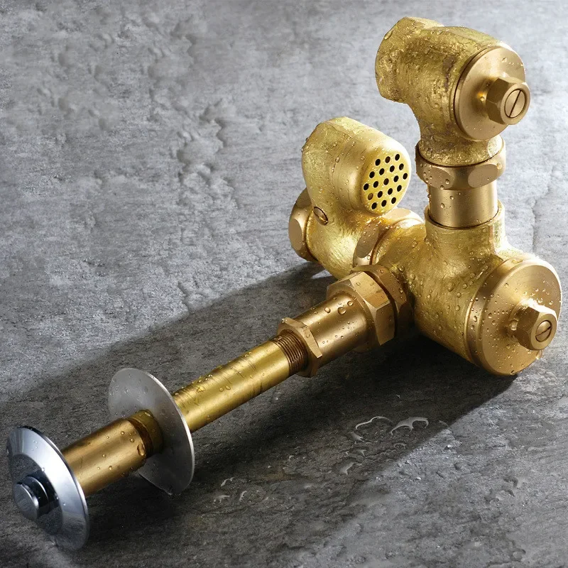 

Brass Flush Valve Hand Press Type Delay Flush Valve with Dirt Separator Toilet Bowls In Gold Urine Diverter