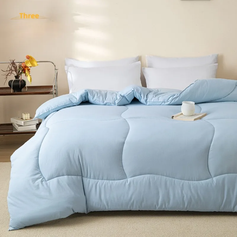 Thick Warm Autumn Winter Quilt Dorm Room Solid Color Soft Skin Friendly Bedding Winter Quilt Thickened To Keep Warm