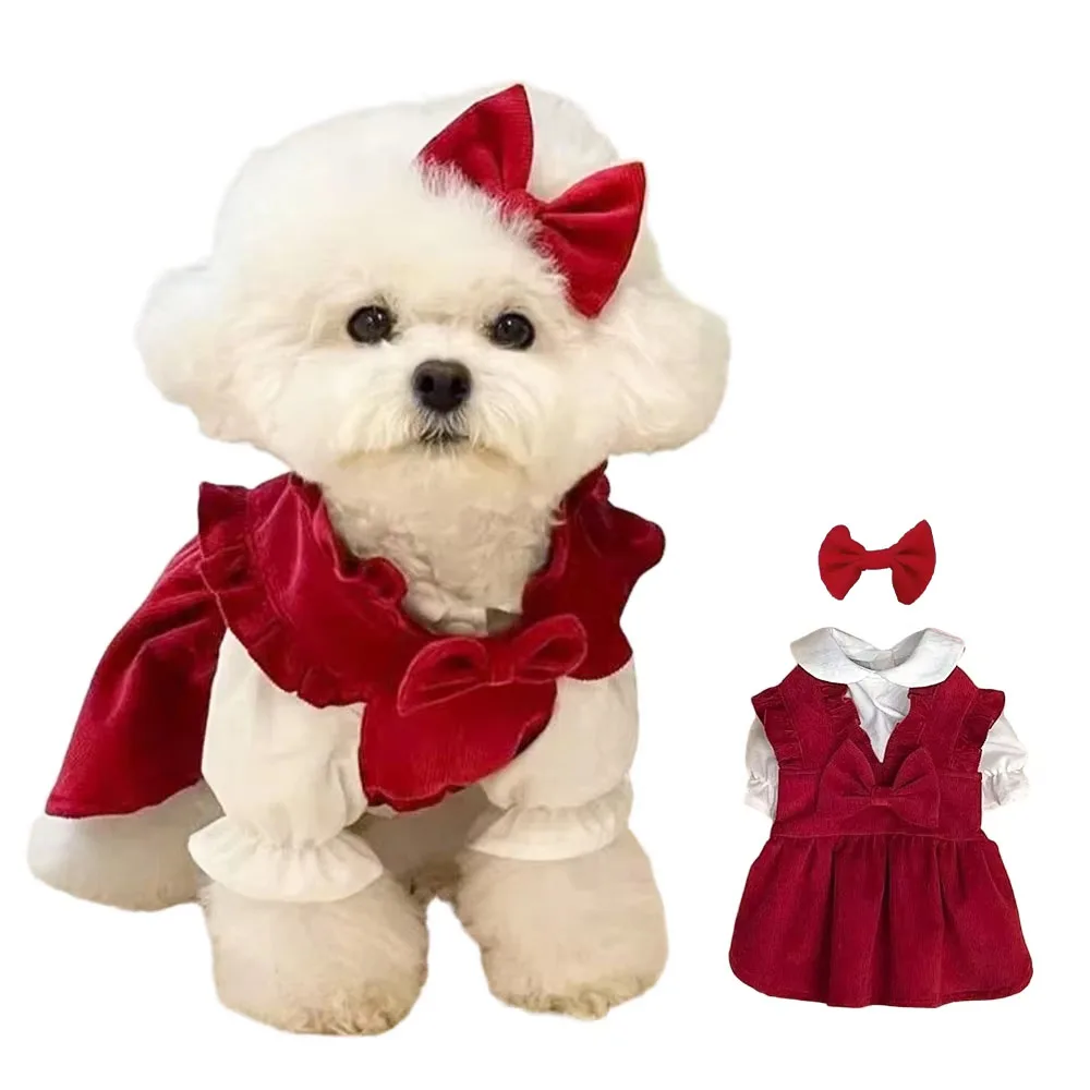 #58 Pet Apparels List of Top Picks