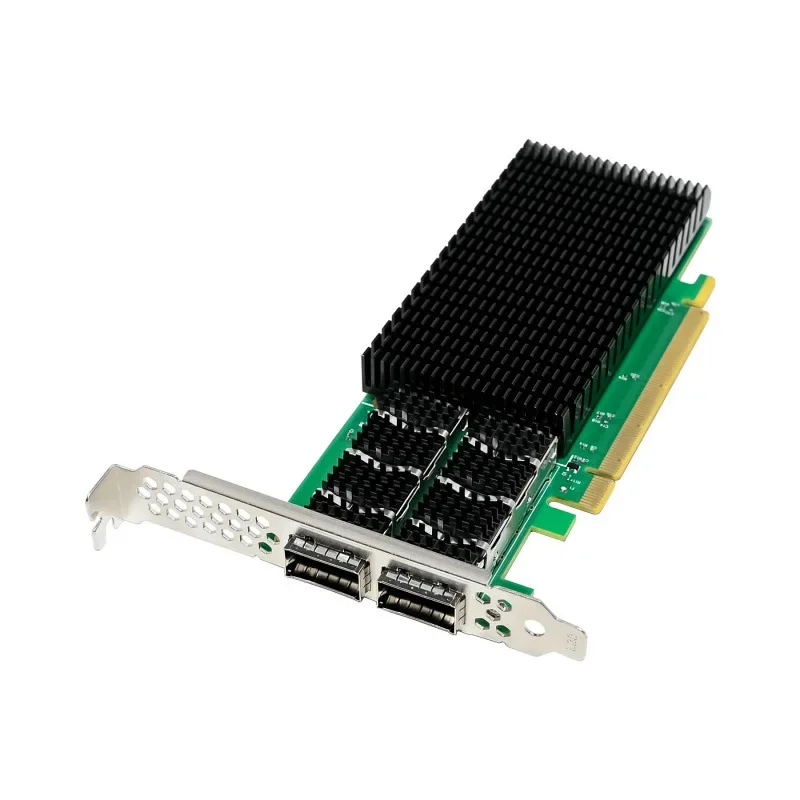 Server network interface card Dual optical port 200G 10 Gigabit fiber