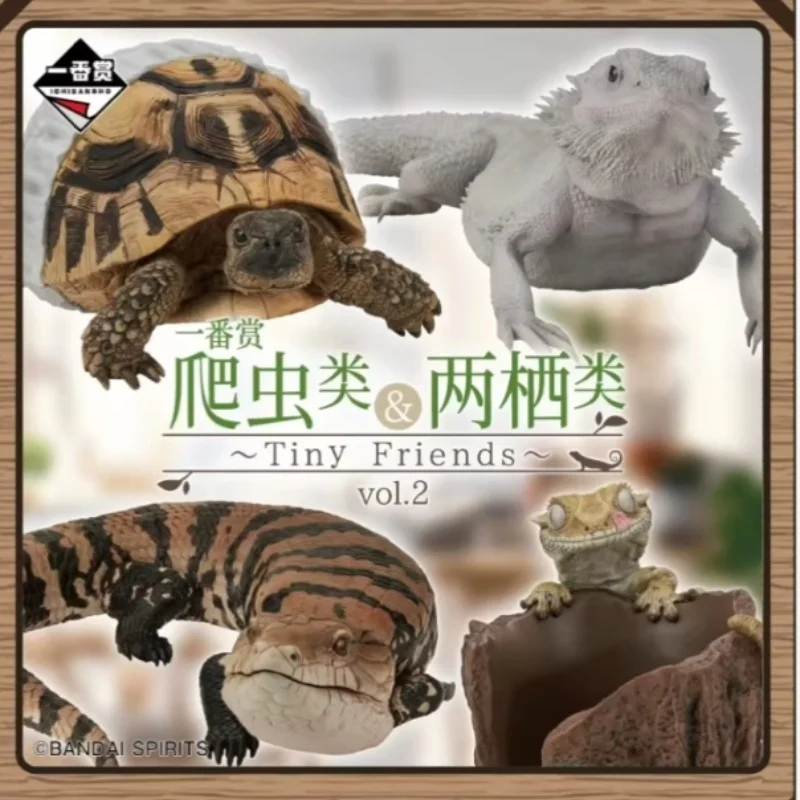 

Bandai Wave Reptile Amphibian Prize Blue Tongue Lizard Sideburn Lion Lizard Hermann Tortoise Wall Gecko Man Action Figure Toy