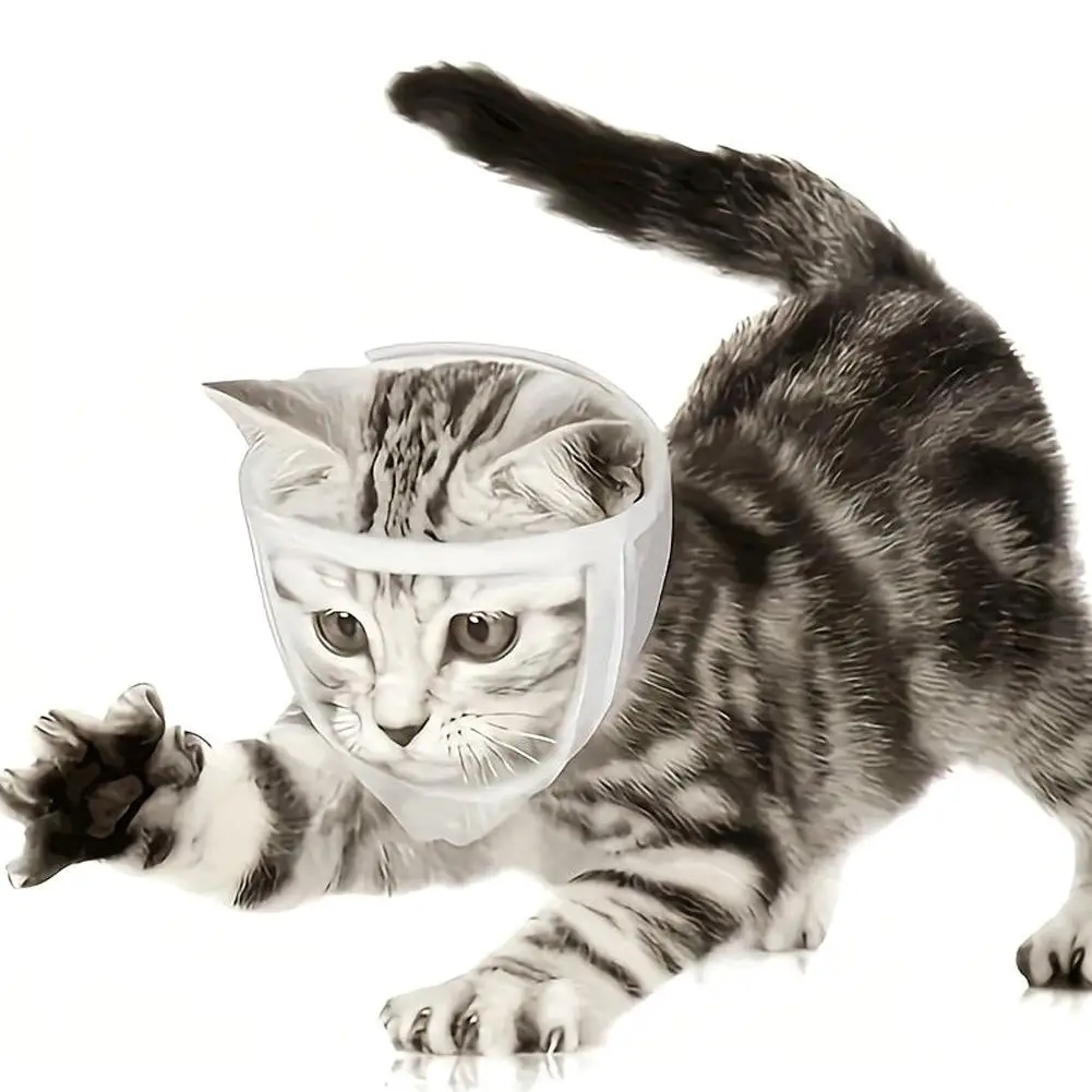 Breathable Clear Cat Muzzle Transparent Cat Mouth Muzzle For Nail Trimming Adjustable Kitten Mask For Treatment Recovery Pe N5G5