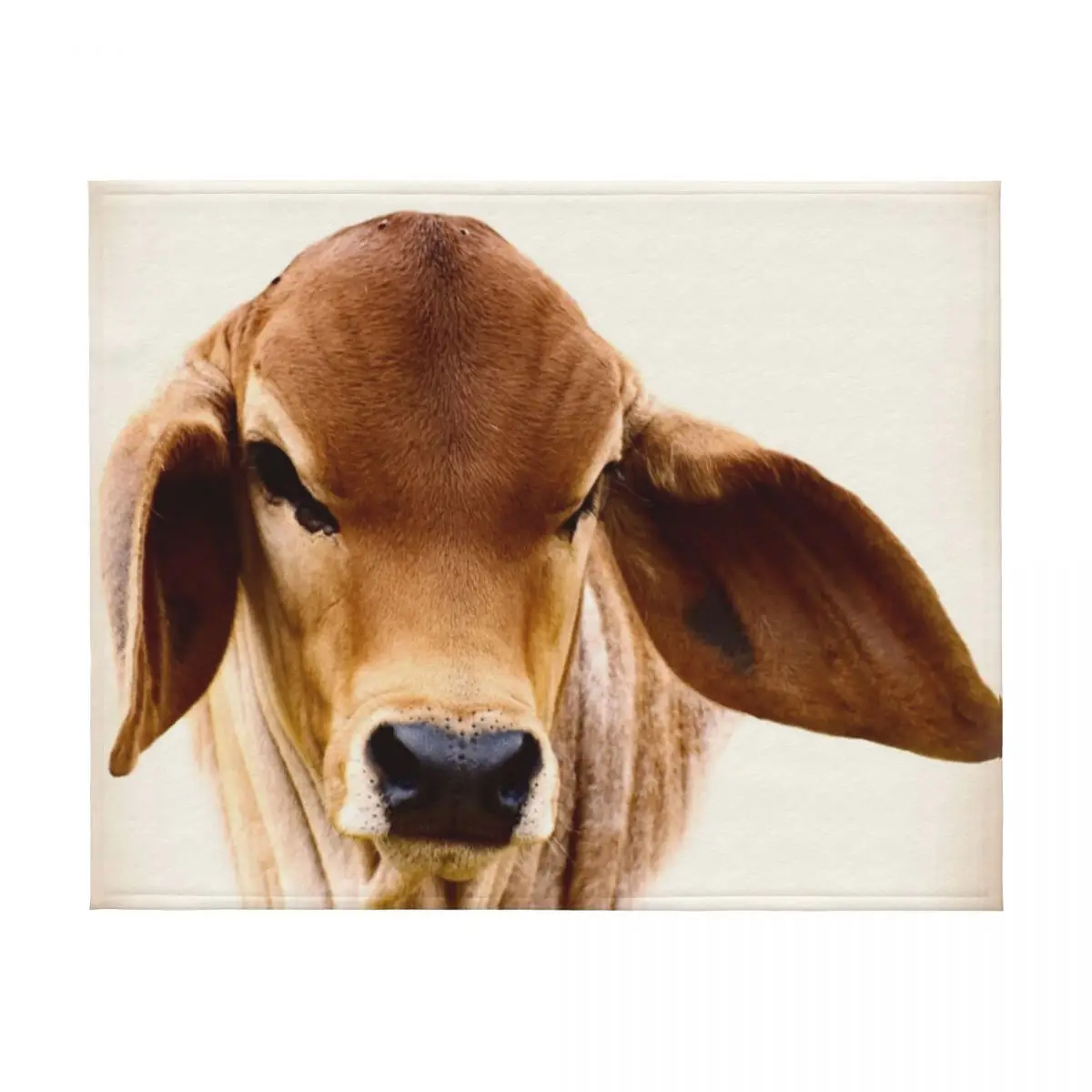 برهمان كالف، بورتريه رمي بطانية ديكورات فاخرة مصممة محشوة بطانيات متحركة