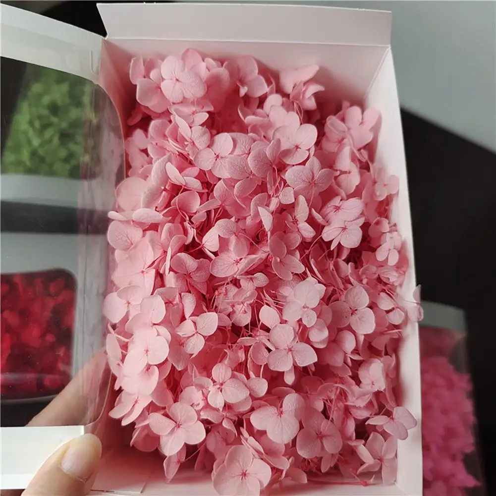 1 Box Preserved Dried Flower Long-lasting Natural Fresh Hydrangea Flower Heads DIY Eternal Life Flowers Material Wedding Favors