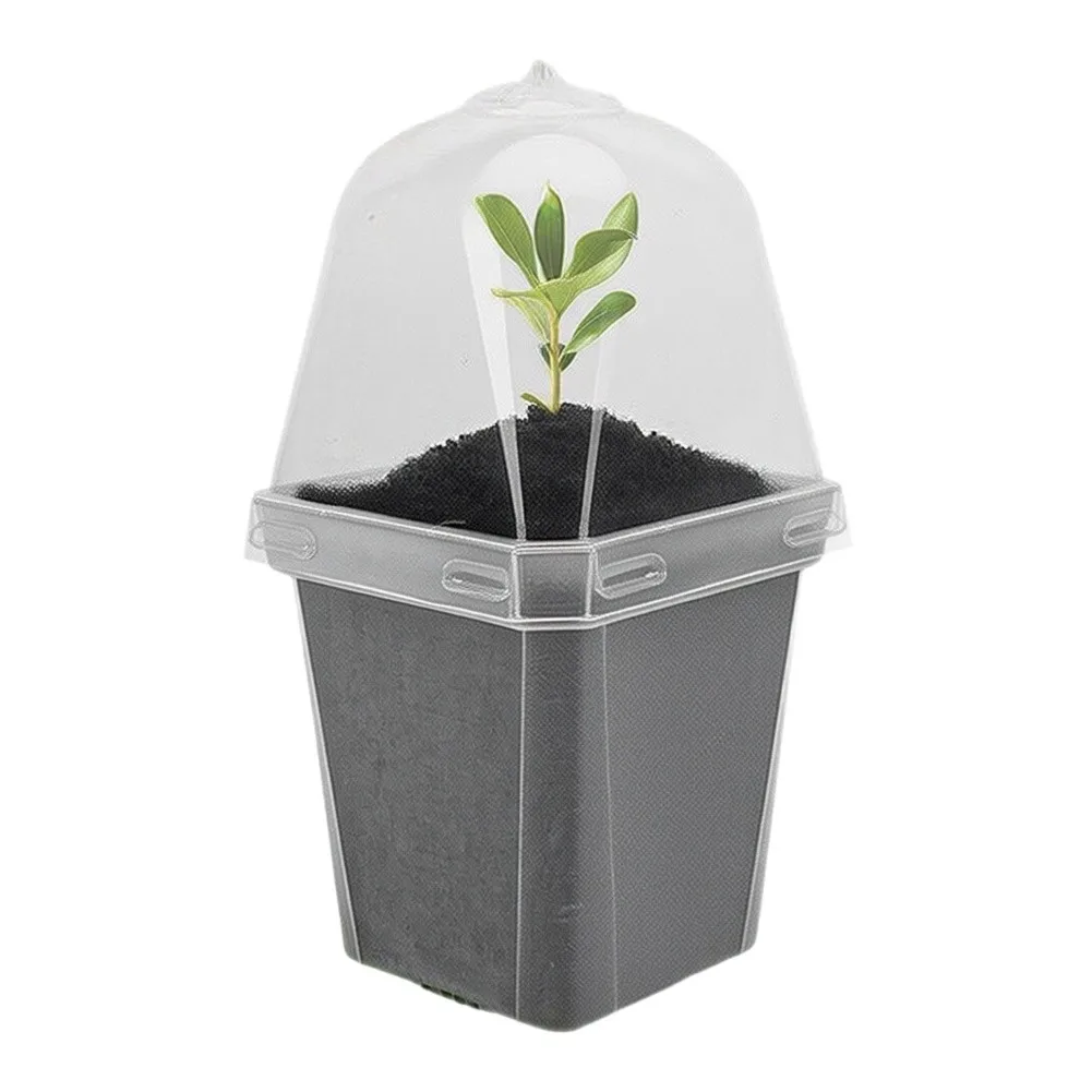 Plastic Nursery Container with Clear Dome for Controlled Moisture Environment During Development and Transplanting