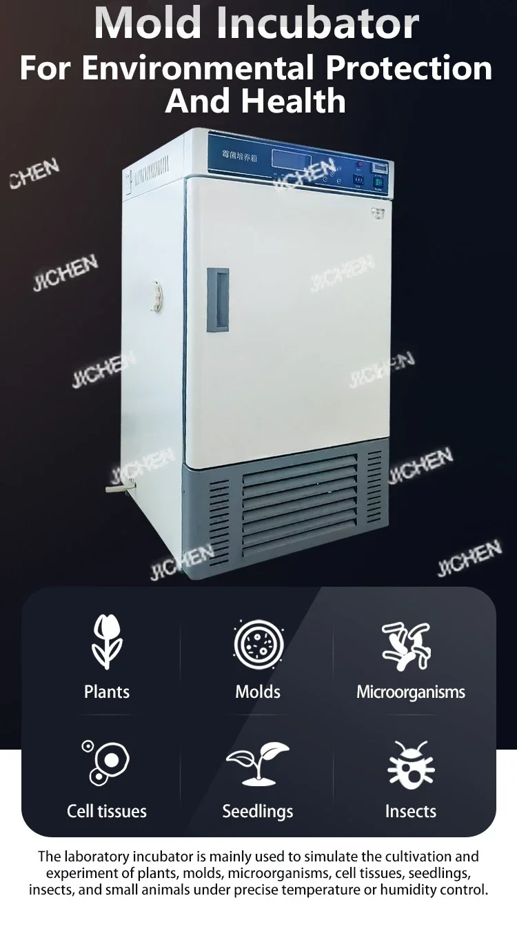 

Mold Incubator For Microbiology Laboratory