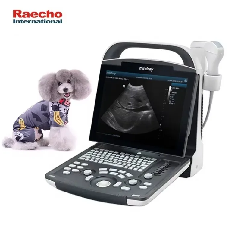 Mindray Digital Veterinary Ultrasound Machine DP-10Vet B/W System