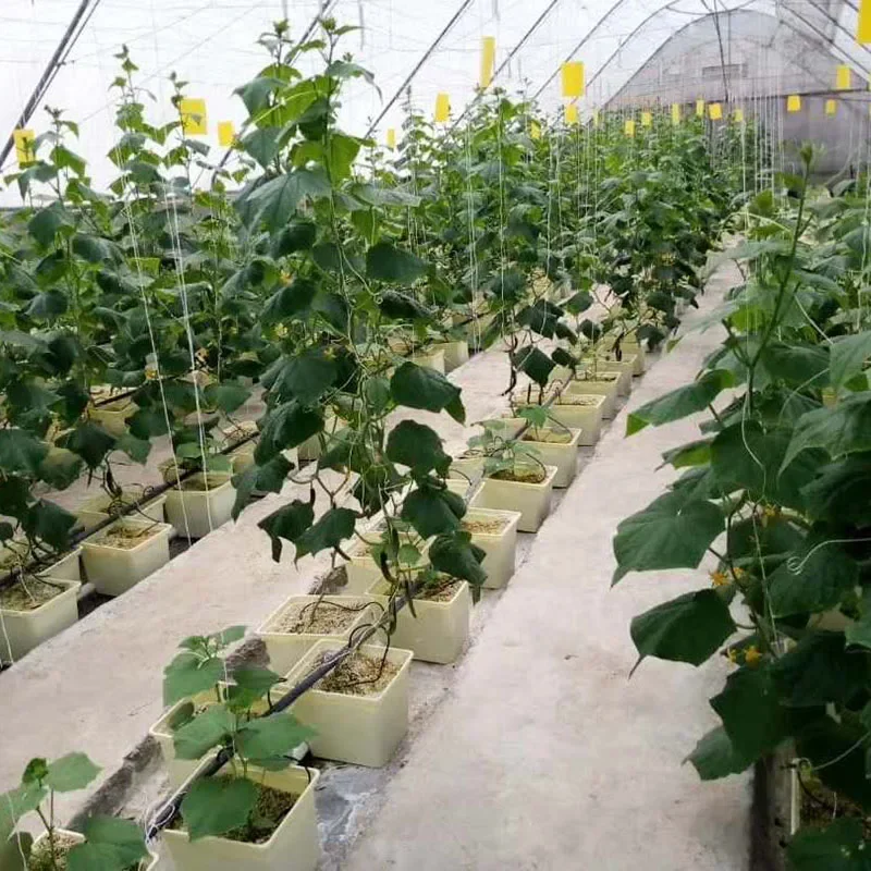 G&N Aquaculture Equipment Dutch Bucket Hydroponics System  Pot for Farming Hydroponic Plastic Used with Flower/green Plant