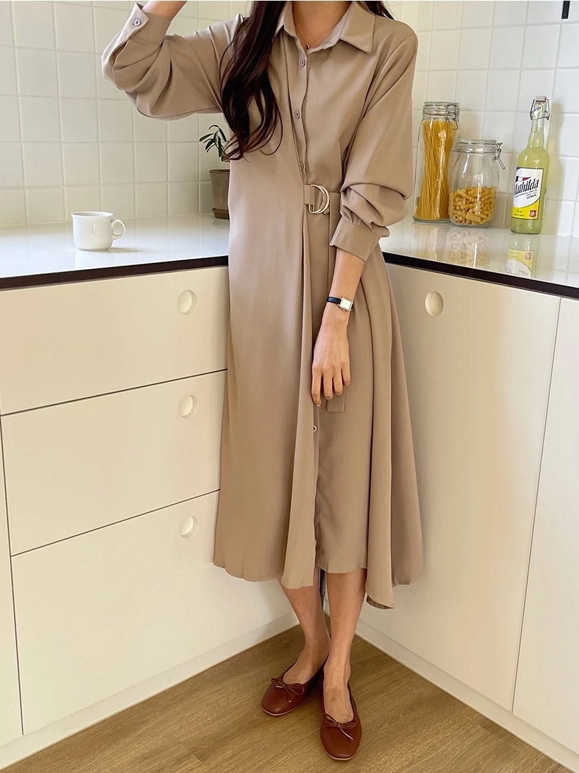 REALEFT Elegant Irregular Women's A-line Dresses 2025 New Long Sleeve Single Breasted Lace-up Casual Loose Shirts Dress Female