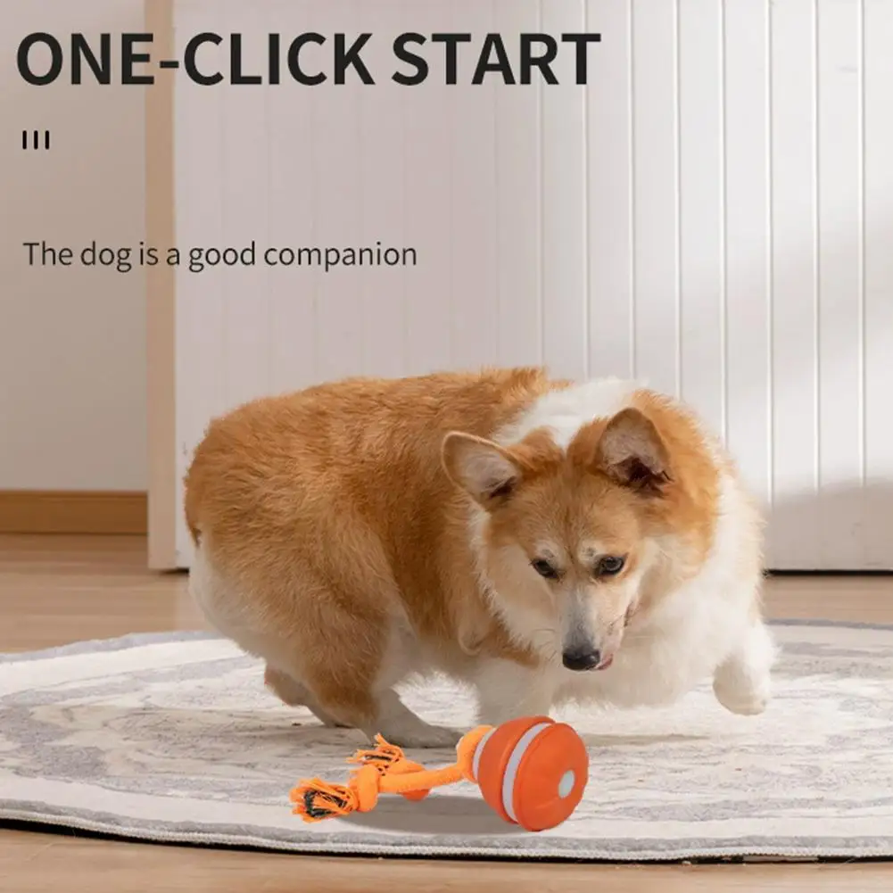 Interactive Dog Toy Ball with Rope Electronic Motion Activated Rolling Ball for Indoor Cat Dog Play Toys for Puppy Training Ball view 5