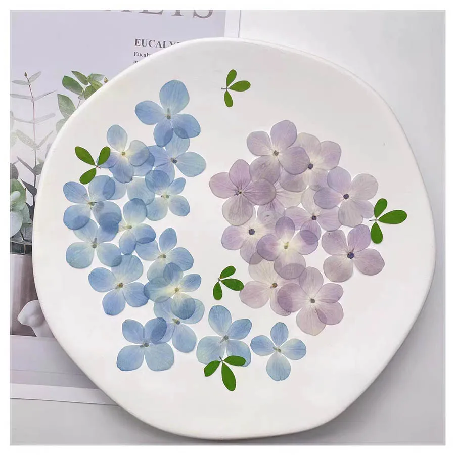 120pcs Pressed Dried Natural Blue/Pink Hydrangea Macrophylla Flower Plants Herbarium For Jewelry Phone Case Bookmark Making