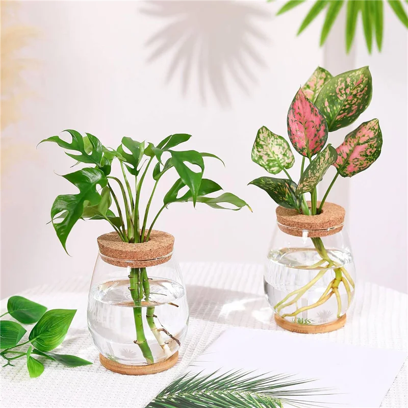 

Станции для размножения растений ABHB-Plants, 4 шт. отдельный настольный террариум для растений с деревянным подносом и крышкой для размножения гидропоники