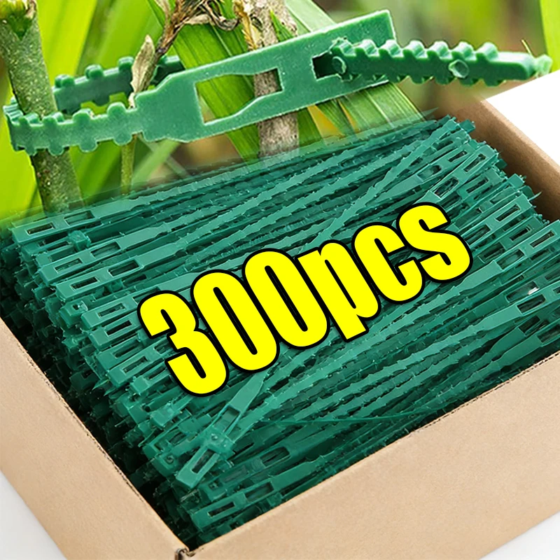 Wholesale Green Pla…