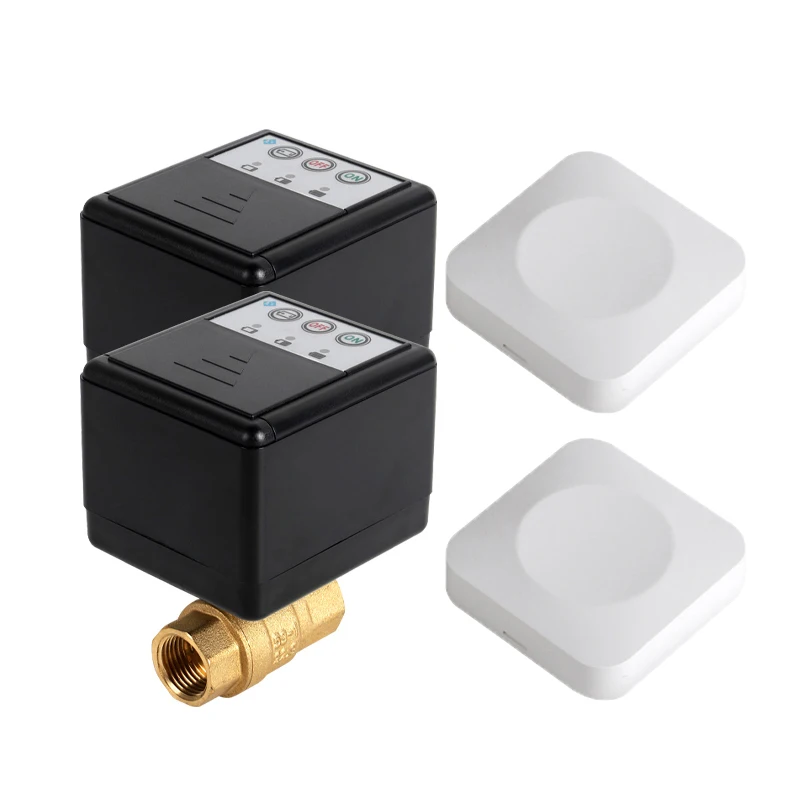 

wireless water leak alarm sensor batteries powered water leakage protection valve 2pc DN15 DN20 DN25 with 2pc mini Water Sensor