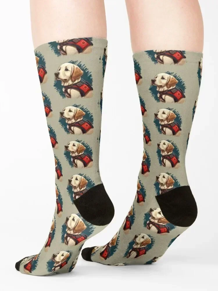 Service Dog - Our 4-pawed Heros Socks sports stockings halloween Luxury Woman Socks Men's